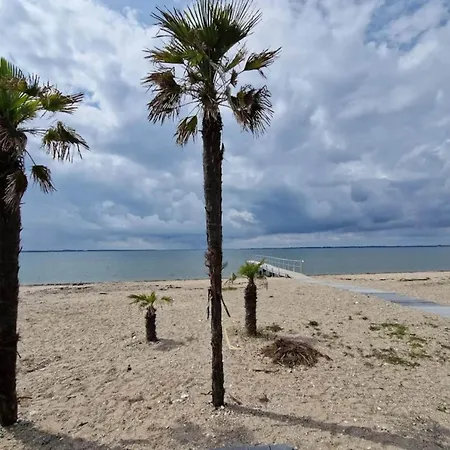 Feriehus 4 Star In Oster Assels-by Traum *