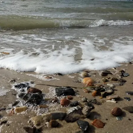 Feriehus 4 Star In Oster Assels-by Traum *